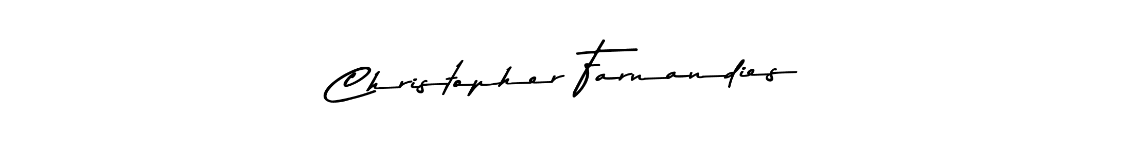 Christopher Farnandies stylish signature style. Best Handwritten Sign (Asem Kandis PERSONAL USE) for my name. Handwritten Signature Collection Ideas for my name Christopher Farnandies. Christopher Farnandies signature style 9 images and pictures png