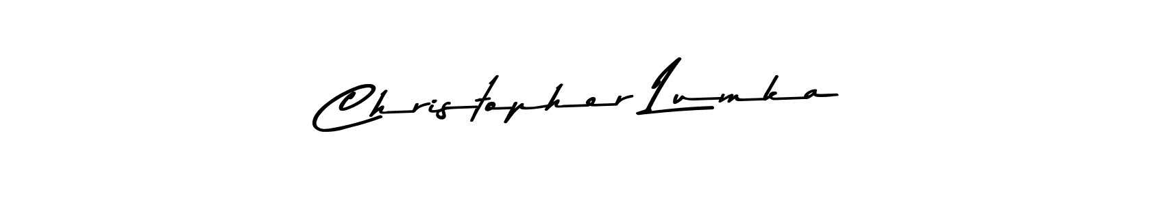 You should practise on your own different ways (Asem Kandis PERSONAL USE) to write your name (Christopher Lumka) in signature. don't let someone else do it for you. Christopher Lumka signature style 9 images and pictures png