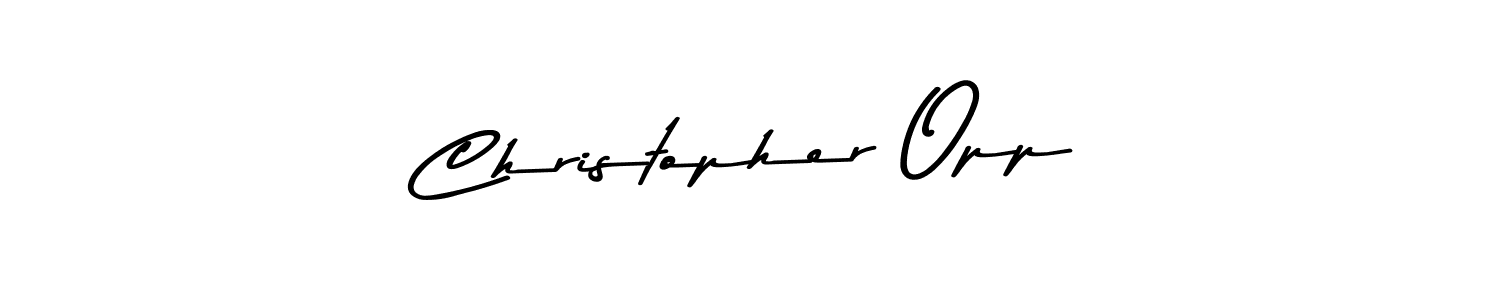 The best way (Asem Kandis PERSONAL USE) to make a short signature is to pick only two or three words in your name. The name Christopher Opp include a total of six letters. For converting this name. Christopher Opp signature style 9 images and pictures png
