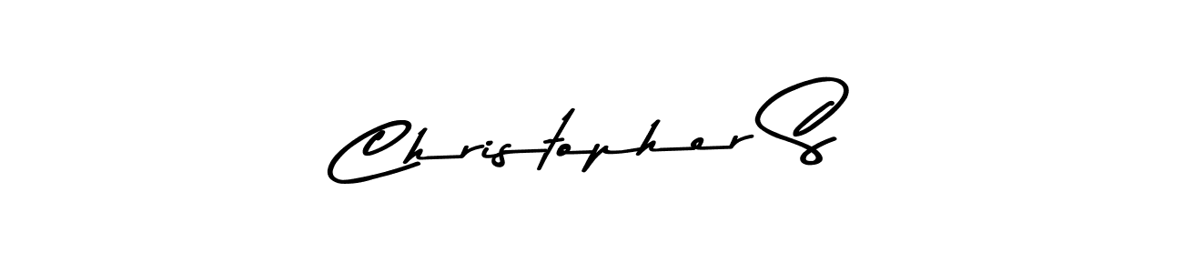 You should practise on your own different ways (Asem Kandis PERSONAL USE) to write your name (Christopher S) in signature. don't let someone else do it for you. Christopher S signature style 9 images and pictures png