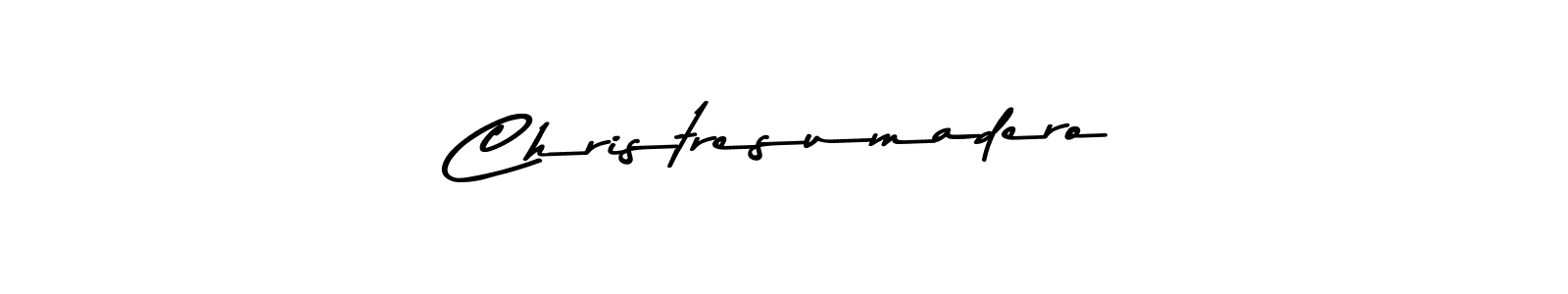 Best and Professional Signature Style for Christresumadero. Asem Kandis PERSONAL USE Best Signature Style Collection. Christresumadero signature style 9 images and pictures png