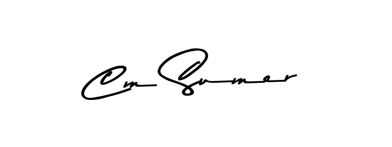 You should practise on your own different ways (Asem Kandis PERSONAL USE) to write your name (Cm Sumer) in signature. don't let someone else do it for you. Cm Sumer signature style 9 images and pictures png