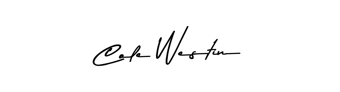 Similarly Asem Kandis PERSONAL USE is the best handwritten signature design. Signature creator online .You can use it as an online autograph creator for name Cole Westin. Cole Westin signature style 9 images and pictures png