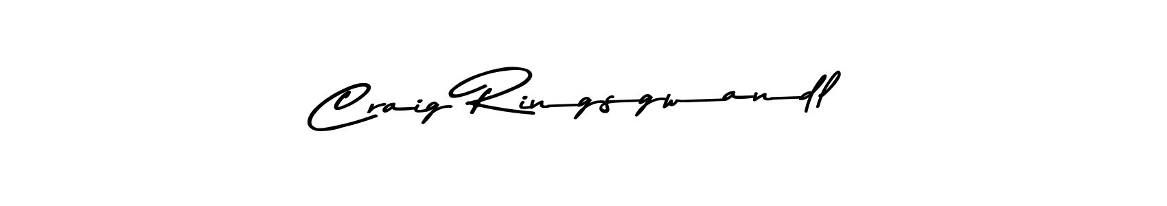 You should practise on your own different ways (Asem Kandis PERSONAL USE) to write your name (Craig Ringsgwandl) in signature. don't let someone else do it for you. Craig Ringsgwandl signature style 9 images and pictures png