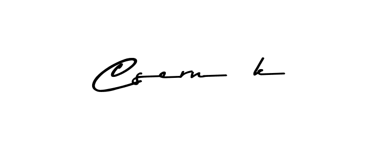 Asem Kandis PERSONAL USE is a professional signature style that is perfect for those who want to add a touch of class to their signature. It is also a great choice for those who want to make their signature more unique. Get Csernák name to fancy signature for free. Csernák signature style 9 images and pictures png