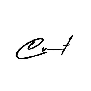You should practise on your own different ways (Asem Kandis PERSONAL USE) to write your name (Cut) in signature. don't let someone else do it for you. Cut signature style 9 images and pictures png