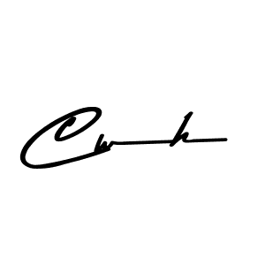 Cwh stylish signature style. Best Handwritten Sign (Asem Kandis PERSONAL USE) for my name. Handwritten Signature Collection Ideas for my name Cwh. Cwh signature style 9 images and pictures png