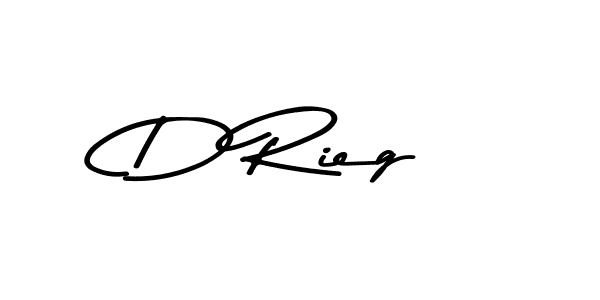 You can use this online signature creator to create a handwritten signature for the name D Rieg. This is the best online autograph maker. D Rieg signature style 9 images and pictures png