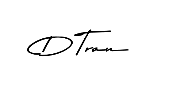 D Tran stylish signature style. Best Handwritten Sign (Asem Kandis PERSONAL USE) for my name. Handwritten Signature Collection Ideas for my name D Tran. D Tran signature style 9 images and pictures png
