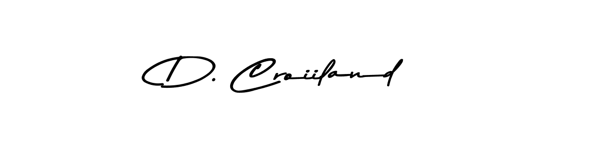 You should practise on your own different ways (Asem Kandis PERSONAL USE) to write your name (D. Croiiland) in signature. don't let someone else do it for you. D. Croiiland signature style 9 images and pictures png