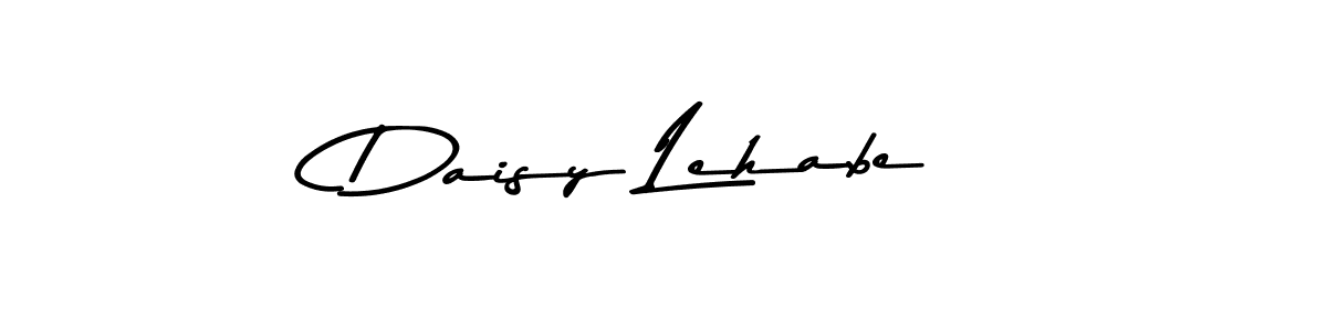 You should practise on your own different ways (Asem Kandis PERSONAL USE) to write your name (Daisy Lehabe) in signature. don't let someone else do it for you. Daisy Lehabe signature style 9 images and pictures png