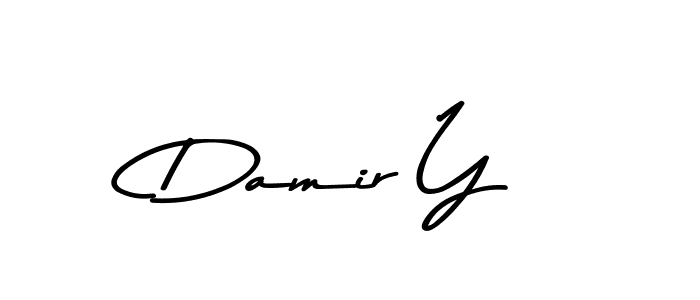 Best and Professional Signature Style for Damir Y. Asem Kandis PERSONAL USE Best Signature Style Collection. Damir Y signature style 9 images and pictures png