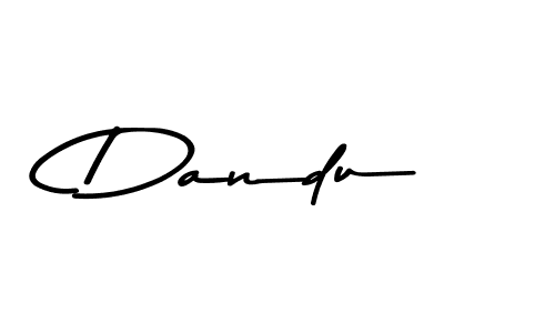 You should practise on your own different ways (Asem Kandis PERSONAL USE) to write your name (Dandu) in signature. don't let someone else do it for you. Dandu signature style 9 images and pictures png