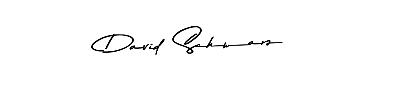 See photos of David  Schwarz official signature by Spectra . Check more albums & portfolios. Read reviews & check more about Asem Kandis PERSONAL USE font. David  Schwarz signature style 9 images and pictures png