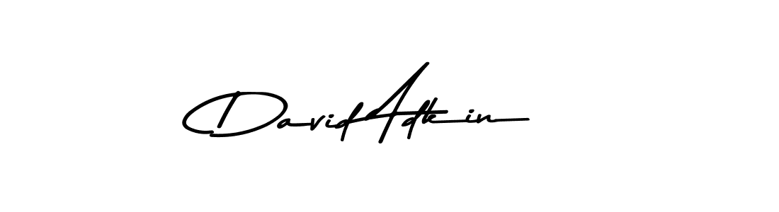 You should practise on your own different ways (Asem Kandis PERSONAL USE) to write your name (David Adkin) in signature. don't let someone else do it for you. David Adkin signature style 9 images and pictures png
