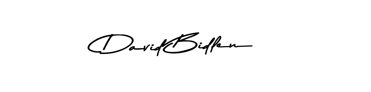 You should practise on your own different ways (Asem Kandis PERSONAL USE) to write your name (David Bidlen) in signature. don't let someone else do it for you. David Bidlen signature style 9 images and pictures png