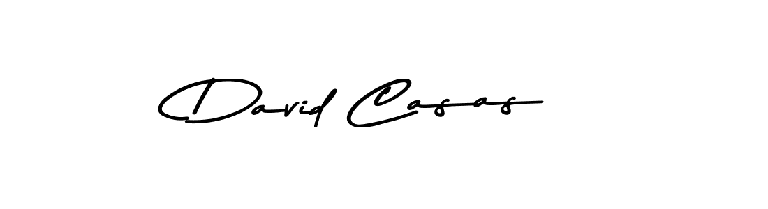 You should practise on your own different ways (Asem Kandis PERSONAL USE) to write your name (David Casas) in signature. don't let someone else do it for you. David Casas signature style 9 images and pictures png