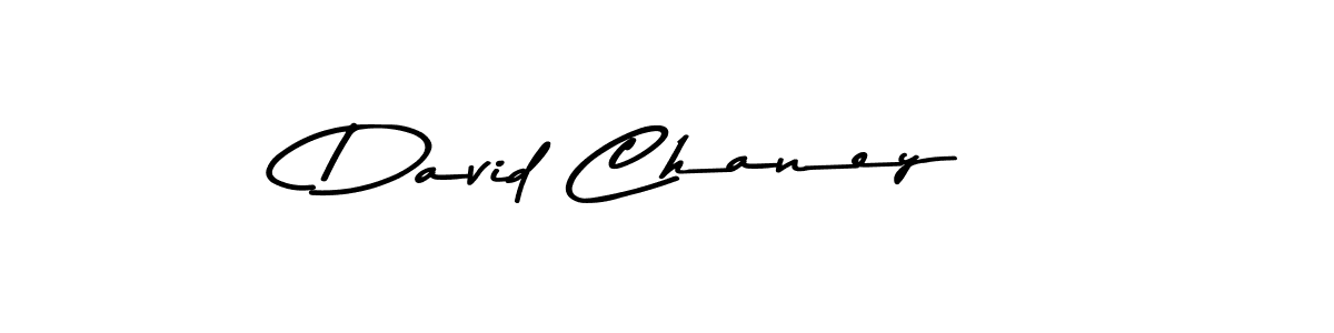 Make a beautiful signature design for name David Chaney. With this signature (Asem Kandis PERSONAL USE) style, you can create a handwritten signature for free. David Chaney signature style 9 images and pictures png