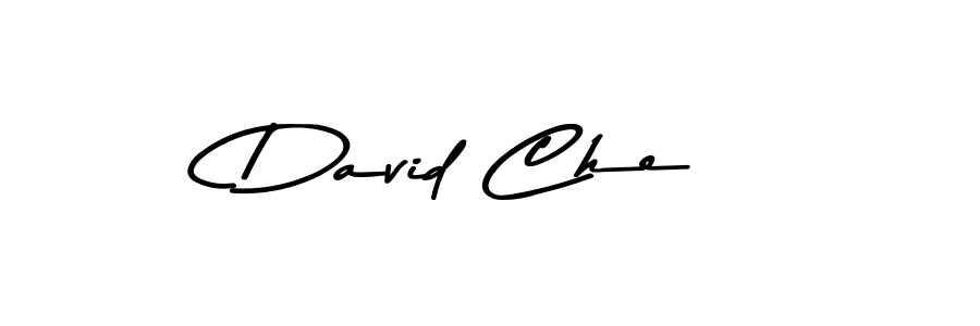 Here are the top 10 professional signature styles for the name David Che. These are the best autograph styles you can use for your name. David Che signature style 9 images and pictures png