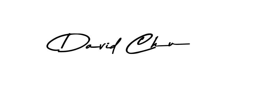 Here are the top 10 professional signature styles for the name David Chu. These are the best autograph styles you can use for your name. David Chu signature style 9 images and pictures png