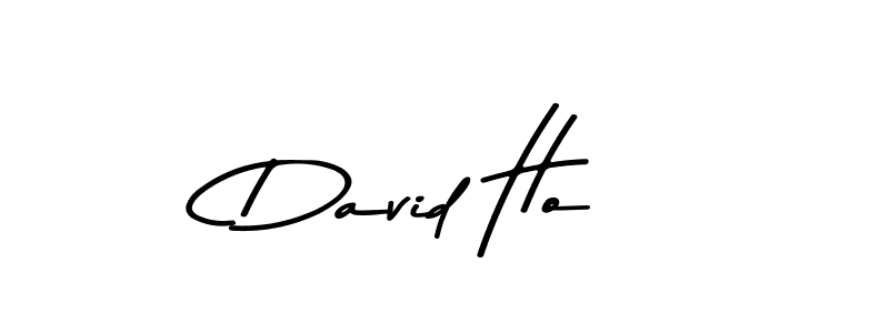 You should practise on your own different ways (Asem Kandis PERSONAL USE) to write your name (David Ho) in signature. don't let someone else do it for you. David Ho signature style 9 images and pictures png