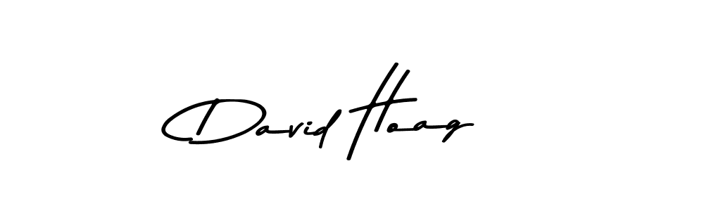 Best and Professional Signature Style for David Hoag. Asem Kandis PERSONAL USE Best Signature Style Collection. David Hoag signature style 9 images and pictures png