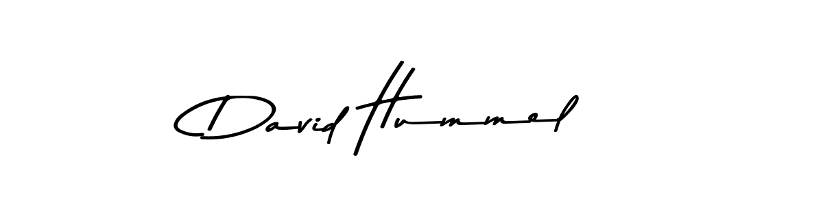 How to make David Hummel signature? Asem Kandis PERSONAL USE is a professional autograph style. Create handwritten signature for David Hummel name. David Hummel signature style 9 images and pictures png