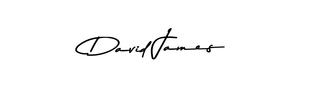 You should practise on your own different ways (Asem Kandis PERSONAL USE) to write your name (David James) in signature. don't let someone else do it for you. David James signature style 9 images and pictures png