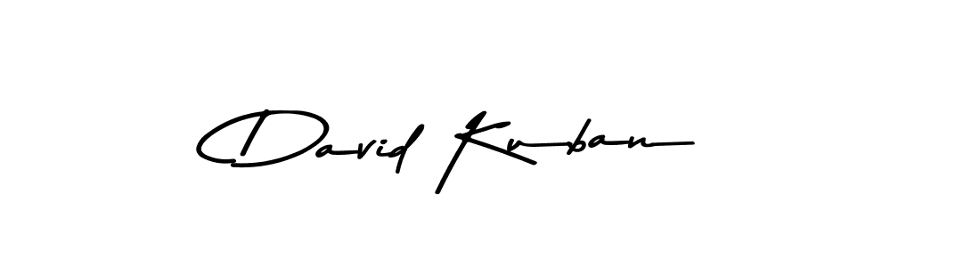 You should practise on your own different ways (Asem Kandis PERSONAL USE) to write your name (David Kuban) in signature. don't let someone else do it for you. David Kuban signature style 9 images and pictures png