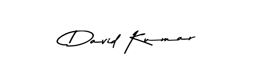 You can use this online signature creator to create a handwritten signature for the name David Kumar. This is the best online autograph maker. David Kumar signature style 9 images and pictures png