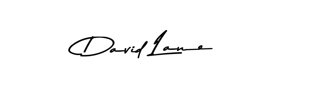Once you've used our free online signature maker to create your best signature Asem Kandis PERSONAL USE style, it's time to enjoy all of the benefits that David Lane name signing documents. David Lane signature style 9 images and pictures png