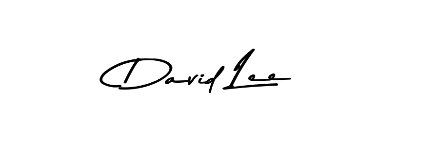 Similarly Asem Kandis PERSONAL USE is the best handwritten signature design. Signature creator online .You can use it as an online autograph creator for name David Lee. David Lee signature style 9 images and pictures png