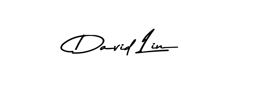 How to make David Lin name signature. Use Asem Kandis PERSONAL USE style for creating short signs online. This is the latest handwritten sign. David Lin signature style 9 images and pictures png
