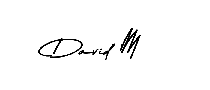 David M stylish signature style. Best Handwritten Sign (Asem Kandis PERSONAL USE) for my name. Handwritten Signature Collection Ideas for my name David M. David M signature style 9 images and pictures png