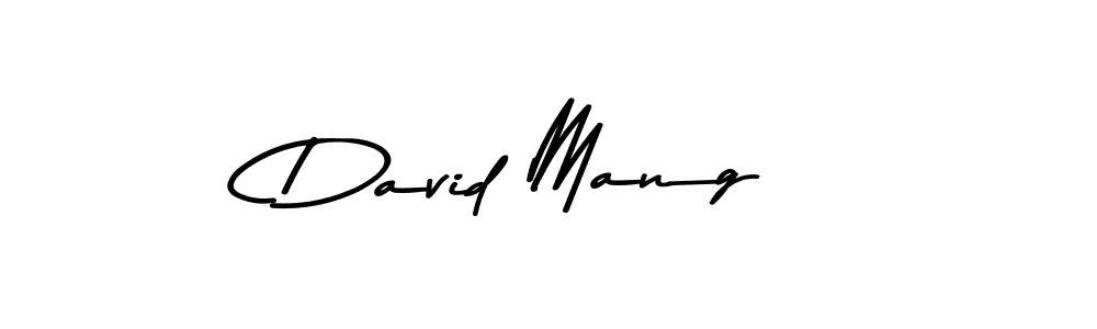 Similarly Asem Kandis PERSONAL USE is the best handwritten signature design. Signature creator online .You can use it as an online autograph creator for name David Mang. David Mang signature style 9 images and pictures png