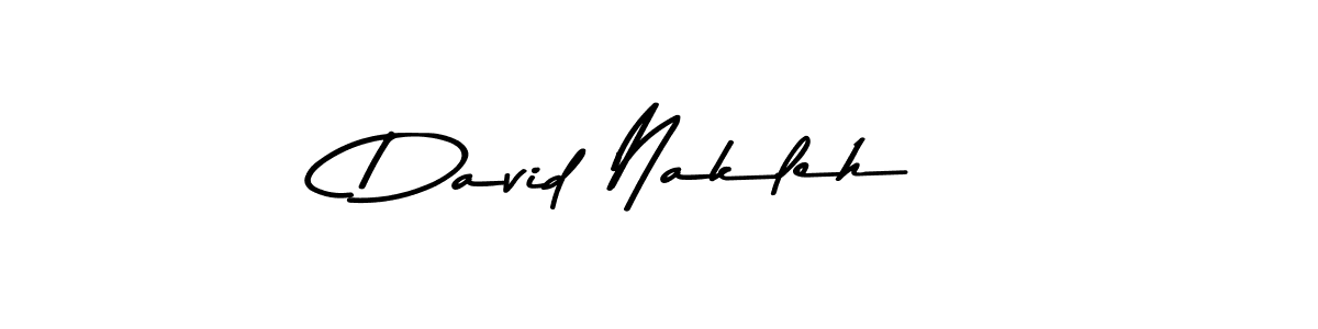 David Nakleh stylish signature style. Best Handwritten Sign (Asem Kandis PERSONAL USE) for my name. Handwritten Signature Collection Ideas for my name David Nakleh. David Nakleh signature style 9 images and pictures png