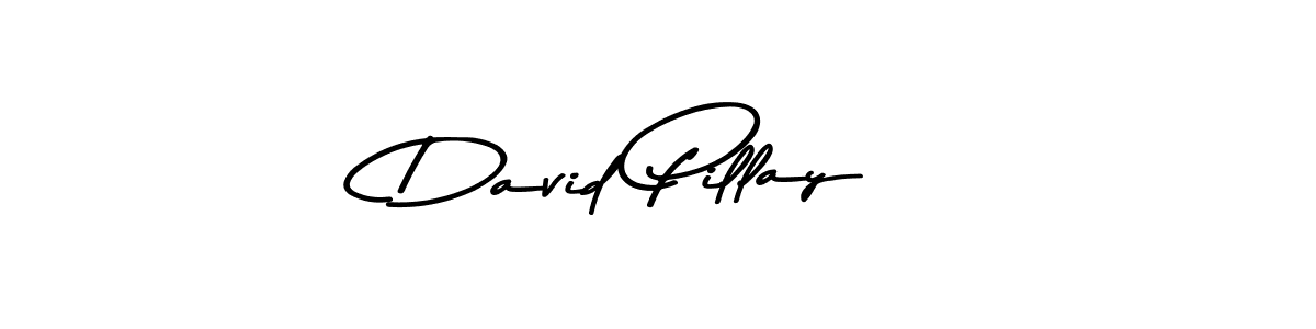 Design your own signature with our free online signature maker. With this signature software, you can create a handwritten (Asem Kandis PERSONAL USE) signature for name David Pillay. David Pillay signature style 9 images and pictures png