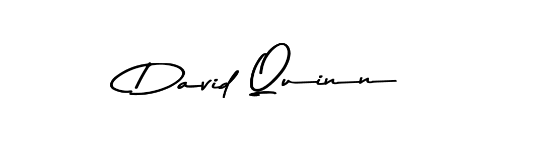 Make a beautiful signature design for name David Quinn. Use this online signature maker to create a handwritten signature for free. David Quinn signature style 9 images and pictures png
