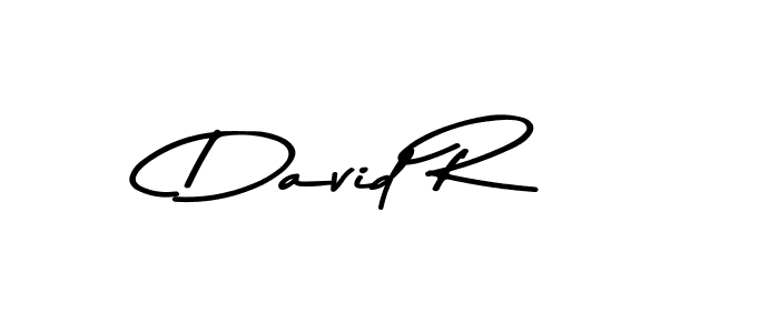 You should practise on your own different ways (Asem Kandis PERSONAL USE) to write your name (David R) in signature. don't let someone else do it for you. David R signature style 9 images and pictures png