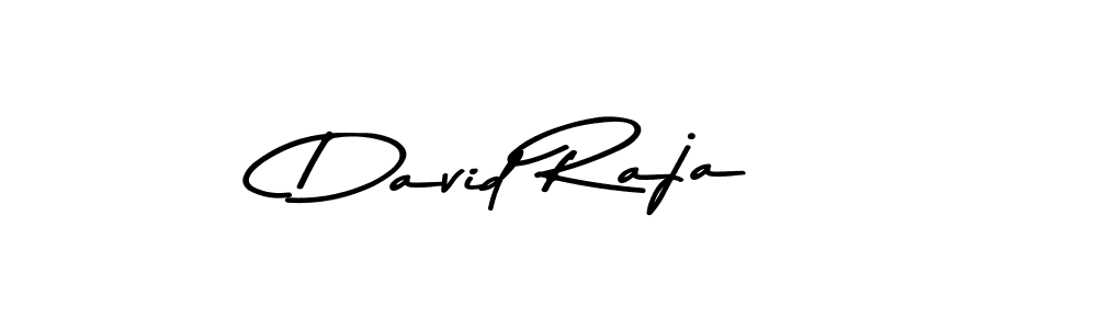 You should practise on your own different ways (Asem Kandis PERSONAL USE) to write your name (David Raja) in signature. don't let someone else do it for you. David Raja signature style 9 images and pictures png