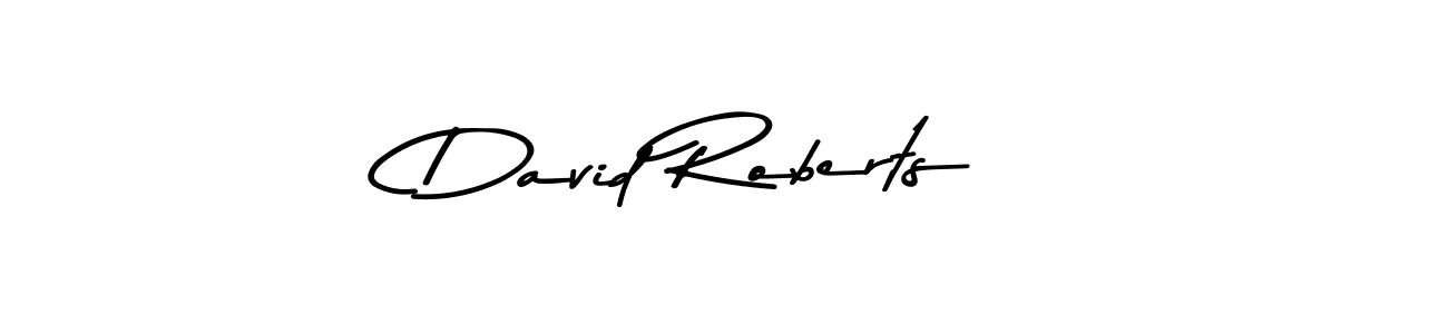 Use a signature maker to create a handwritten signature online. With this signature software, you can design (Asem Kandis PERSONAL USE) your own signature for name David Roberts. David Roberts signature style 9 images and pictures png