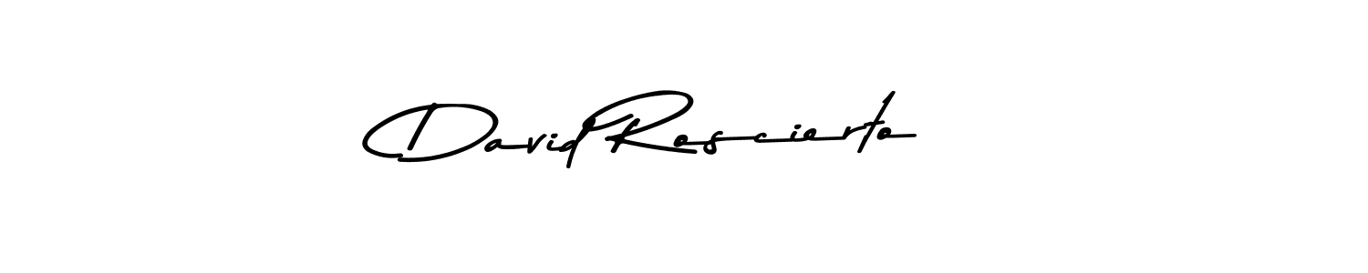 You should practise on your own different ways (Asem Kandis PERSONAL USE) to write your name (David Roscierto) in signature. don't let someone else do it for you. David Roscierto signature style 9 images and pictures png