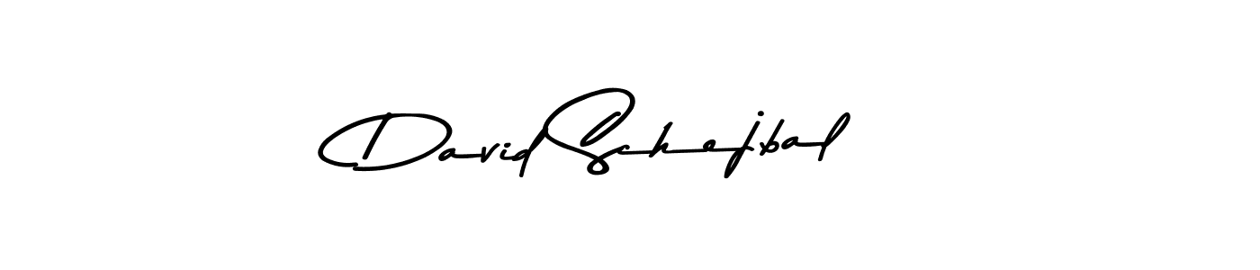 Also You can easily find your signature by using the search form. We will create David Schejbal name handwritten signature images for you free of cost using Asem Kandis PERSONAL USE sign style. David Schejbal signature style 9 images and pictures png