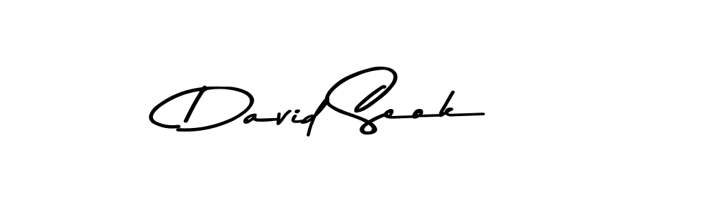 You should practise on your own different ways (Asem Kandis PERSONAL USE) to write your name (David Seok) in signature. don't let someone else do it for you. David Seok signature style 9 images and pictures png