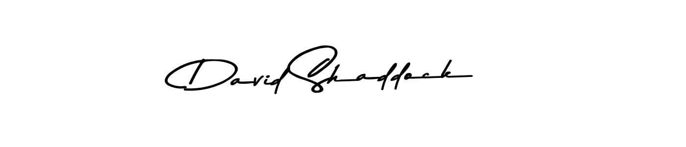 David Shaddock stylish signature style. Best Handwritten Sign (Asem Kandis PERSONAL USE) for my name. Handwritten Signature Collection Ideas for my name David Shaddock. David Shaddock signature style 9 images and pictures png