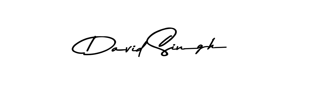 Similarly Asem Kandis PERSONAL USE is the best handwritten signature design. Signature creator online .You can use it as an online autograph creator for name David Singh. David Singh signature style 9 images and pictures png