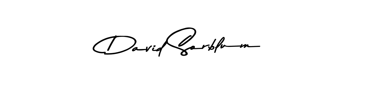David Sorblum stylish signature style. Best Handwritten Sign (Asem Kandis PERSONAL USE) for my name. Handwritten Signature Collection Ideas for my name David Sorblum. David Sorblum signature style 9 images and pictures png