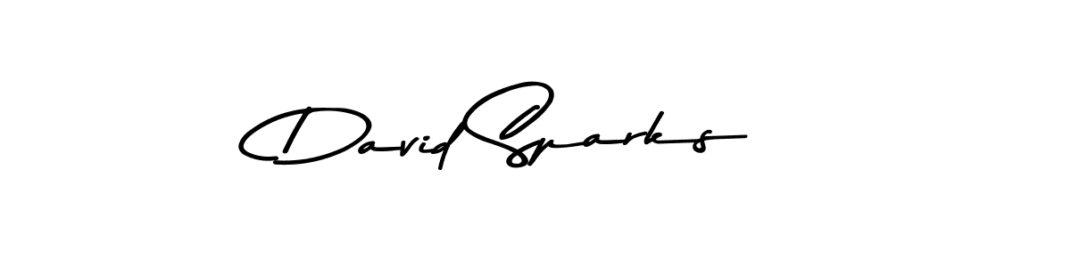 Similarly Asem Kandis PERSONAL USE is the best handwritten signature design. Signature creator online .You can use it as an online autograph creator for name David Sparks. David Sparks signature style 9 images and pictures png