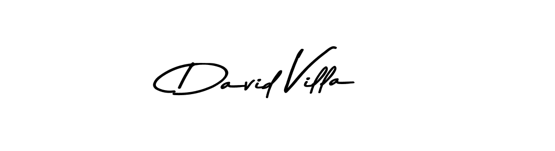 Similarly Asem Kandis PERSONAL USE is the best handwritten signature design. Signature creator online .You can use it as an online autograph creator for name David Villa. David Villa signature style 9 images and pictures png