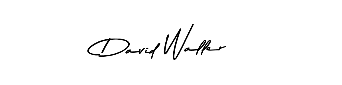 David Waller stylish signature style. Best Handwritten Sign (Asem Kandis PERSONAL USE) for my name. Handwritten Signature Collection Ideas for my name David Waller. David Waller signature style 9 images and pictures png